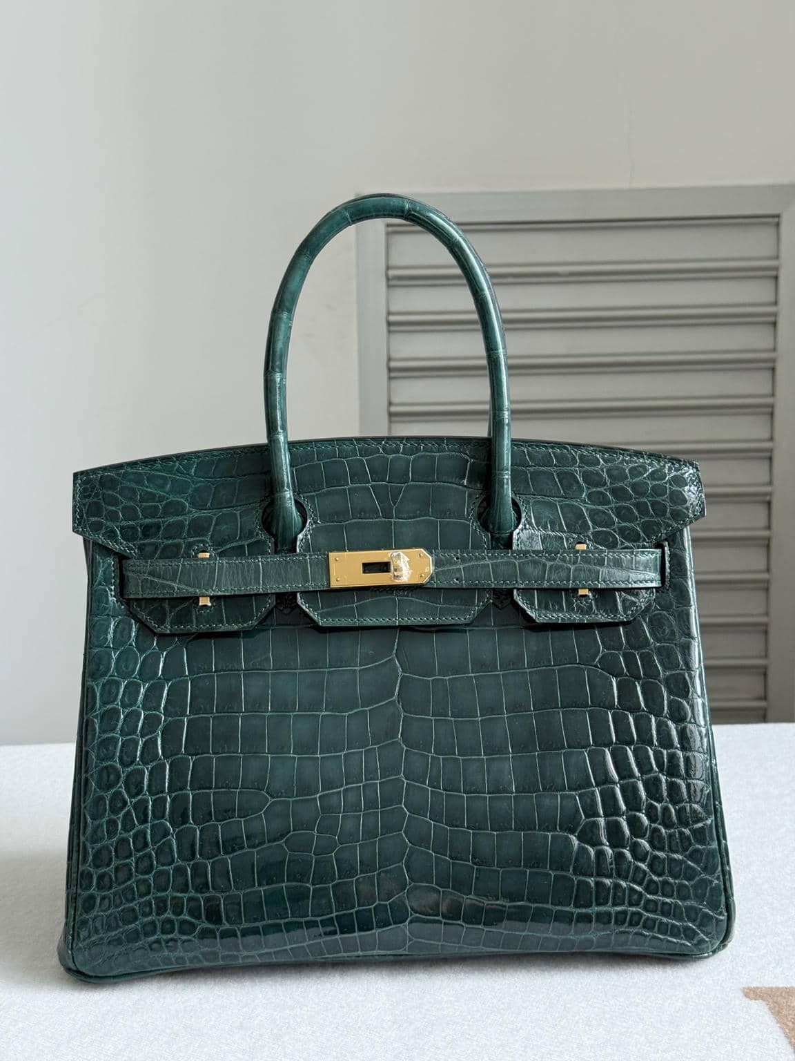 Birkin Exotic Leather-124